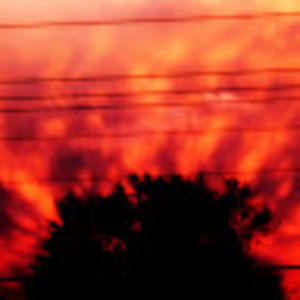 Meet your Posher, Meghan